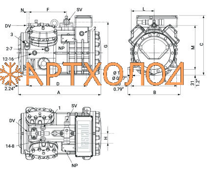 Компрессор Q5-33.1Y (R-404A, R-507, R-134a, R-407C LBP) Frascold Компрессор Q5-33.1Y (R-404A, R-507, R-134a, R-407C LBP) Frascold
